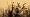 2011-11-12 16-20-14 FinePixHS20 738,9mm 1 750 eme