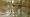 2012-01-22 11-18-37 FinePixHS20 31,6mm 1 56 eme
