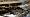 2012-02-12 13-48-05 FinePixHS20 46,9mm 1 125 eme