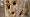 2012-03-04 16-33-32 FinePixHS20 24,6mm 1 170 eme