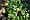 2012-03-28 17-43-54 FinePixHS20 222,8mm 1 250 eme