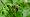 2012-05-06 10-24-37 FinePixHS20 102,6mm 1 90 eme