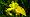 2012-05-19 10-48-59 FinePixHS20 140,1mm 1 680 eme