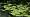 2012-05-19 10-57-31 FinePixHS20 215,8mm 1 140 eme