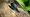 2012-05-19 11-06-05 FinePixHS20 455,6mm 1 200 eme