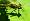 2012-05-19 11-12-24 FinePixHS20 262,7mm 1 350 eme
