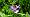 2012-06-09 15-40-29 FinePixHS20 61,5mm 1 350 eme