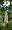 2012-06-09 15-51-36 FinePixHS20 panorama-mice-(0.90)