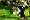 2012-06-09 16-15-29 FinePixHS20 145,0mm 1 300 eme