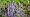 2012-07-03 18-07-56 FinePixHS20 405,2mm 1 640 eme