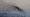 2012-11-18 16-19-16 FinePixHS20 473,8mm 1 240 eme