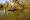 2012-12-01 11-12-44 FinePixHS20 23,5mm 1 280 eme
