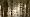 2012-12-26 14-38-56 FinePixHS20 61,5mm 1 70 eme