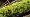 2012-12-26 15-31-51 FinePixHS20 170,6mm 1 40 eme