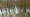 2012-12-26 15-40-58 FinePixHS20 24,6mm 1 56 eme