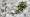 2013-01-20 15-15-24 FinePixHS20 78,0mm 1 170 eme
