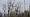 2013-11-24 16-40-40 FinepixHS50 626,3mm 1 20 emeB