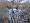 2013-11-24 16-42-43 FinepixHS50 23,6mm 1 2 eme