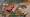 2013-12-21 14-36-21 FinepixHS50 603,4mm 1 60 eme