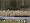 2014-01-05 12-26-57 FinepixHS50 574,8mm 1 480 eme