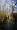 2014-01-05 12-46-32 FinepixHS50 25,8mm 1 420 eme