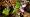 2014-03-02 11-53-40 FinepixHS50 298,5mm 1 125 eme