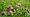 2014-05-11 17-03-58 FinepixHS50 87,9mm 1 210 eme