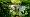 2014-05-11 17-06-49 FinepixHS50 26,9mm 1 90 eme