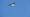 2014-06-05 20-17-48 FinepixHS50 699,6mm 1 750 emeB