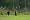 2014-10-26 16-19-54 FinepixHS50 898,5mm 1 400 eme