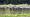 2014-10-26 16-31-19 FinepixHS50 1084,9mm 1 170 eme