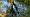 2014-10-26 16-35-58 FinepixHS50 93,8mm 1 58 emeA