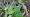 2014-10-26 16-58-36 FinepixHS50 36,3mm 1 30 emeB