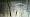 2014-12-22 15-21-24 FinepixHS50 603,4mm 1 750 eme
