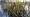 2015-01-11 15-14-38 FinepixHS50 25,8mm 1 75 eme