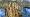 2015-01-11 15-16-09 FinepixHS50 35,1mm 1 125 emeB