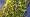 2015-01-11 15-17-46 FinepixHS50 43,9mm 1 34 emeB