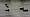 2015-01-11 15-29-12 FinepixHS50 1084,9mm 1 1600 eme