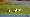 2015-01-11 16-00-58 FinepixHS50 1084,9mm 1 210 emeA