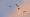 2015-01-11 16-42-27 FinepixHS50 539,5mm 1 140 emeB