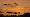 2015-01-11 17-11-14 FinepixHS50 333,6mm 1 250 emeB