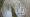 2015-01-18 11-46-00 FinepixHS50 136,6mm 1 170 eme
