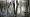 2015-01-18 11-54-38 FinepixHS50 25,8mm 1 480 eme