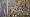 2015-01-18 12-12-22 FinepixHS50 216,9mm 1 300 eme