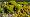 2015-01-18 12-16-22 FinepixHS50 72,7mm 1 300 eme