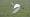 2015-02-15 14-08-49 FinepixHS50 782,3mm 1 220 emeA