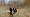 2015-03-08 11-12-02 FinepixHS50 141,9mm 1 950 eme