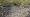 2015-03-08 11-18-22 FinepixHS50 25,8mm 1 170 eme