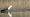 2015-03-08 11-41-42 FinepixHS50 1084,9mm 1 240 eme