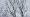 2015-03-08 11-44-21 FinepixHS50 1084,9mm 1 900 emeA
